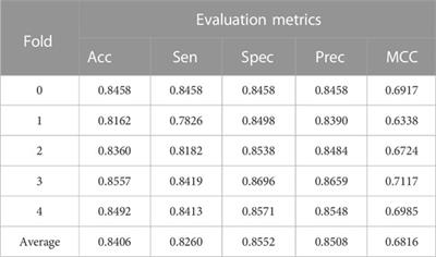 A lncRNA-disease association prediction tool development based on bridge heterogeneous information network via graph representation learning for family medicine and primary care